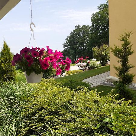 Villa Casa Sol-Rural Residence Near Linz Катцдорф Экстерьер фото